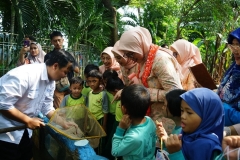 Mengenal Lebih Dekat Tentang Jenis - Jenis Ikan.