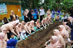 DWP DKI Jakarta Menanam Sayur.