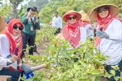 WhatsApp-Image-2023-08-14-at-07.01.27-1