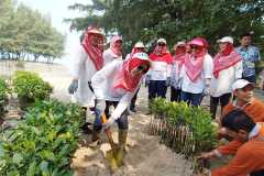 WhatsApp-Image-2023-08-14-at-07.18.32