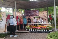 WhatsApp-Image-2024-07-12-at-07.51.31-ok