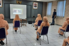 WhatsApp-Image-2021-01-29-at-17.50.09